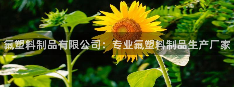 太阳成集团tyc1050