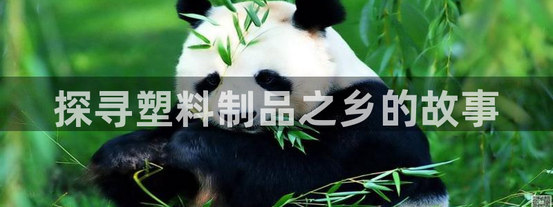 太阳集团是真的吗