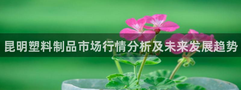 太阳http下载