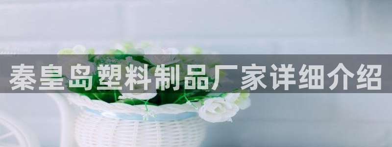太阳集团游戏2138网站
