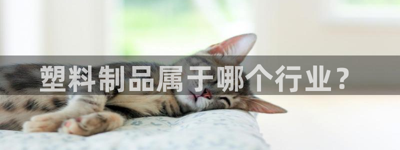 太阳集团网站视频