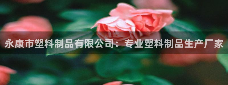 太阳集团董事长是谁
