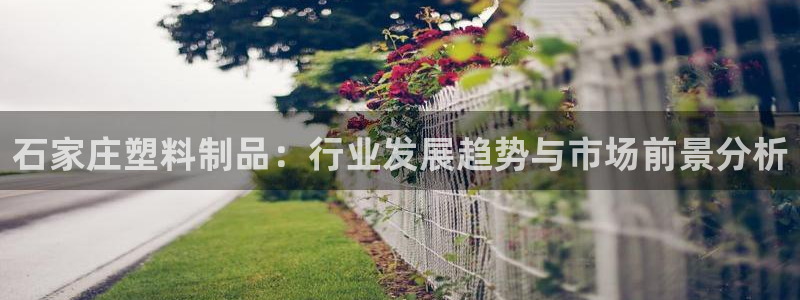 太阳集团房地产