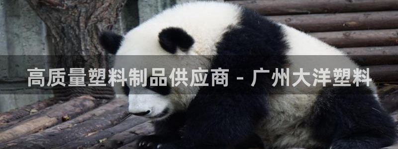 太阳app免费下载官方网站