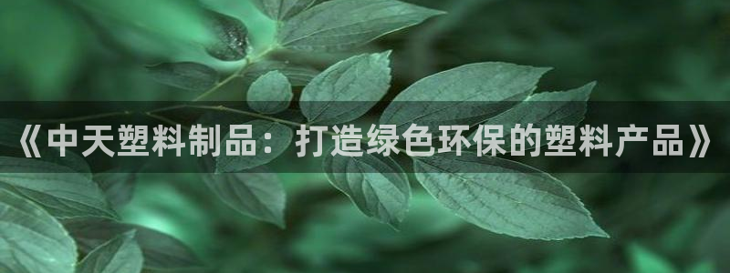 太阳集团董事长的儿子照片