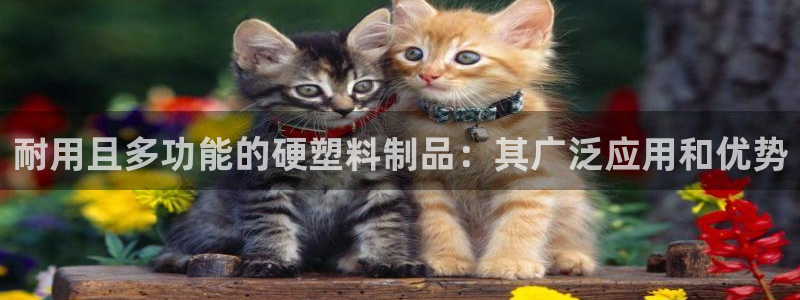 太阳集团在中国合法吗