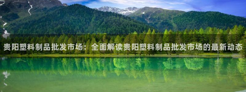 太阳诚集团是什么