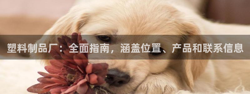 古天乐代言的太阳集团城网址