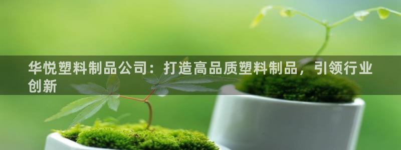 太阳集团的法人代表