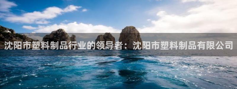 太阳集团的老总是谁