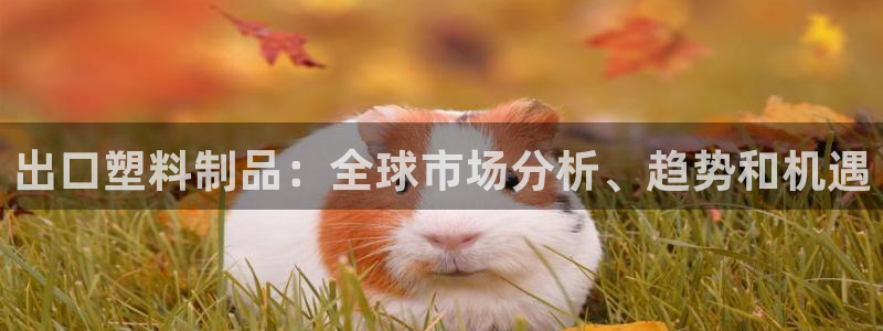 太阳集团入口官网网址