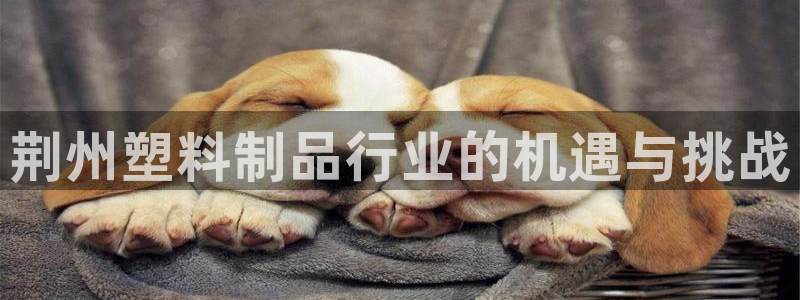 太阳集团电子游戏返还8元