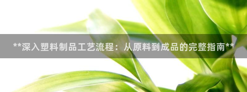 太阳成集团视频