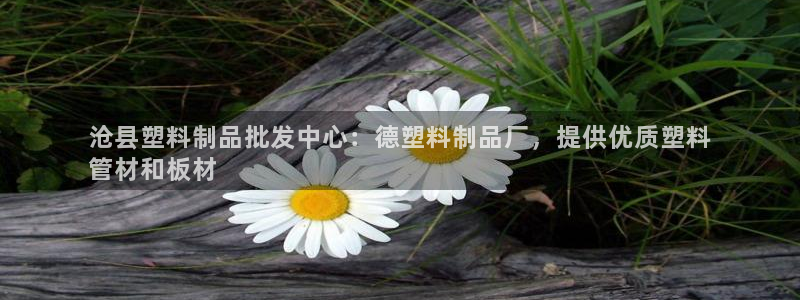 太阳游戏成语：沧县塑料制品批发中心：德塑料制品厂，提供优质塑