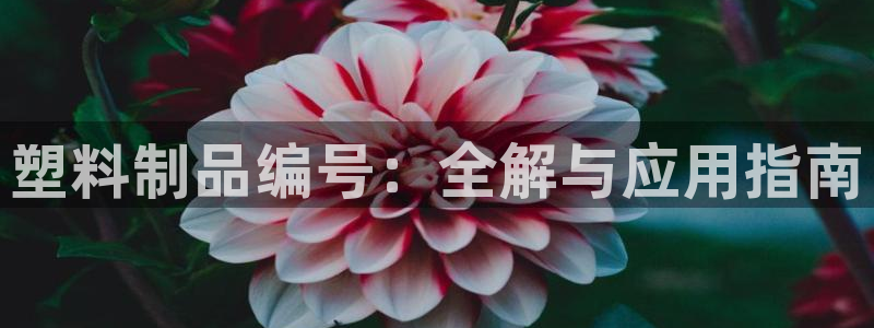 太阳集团app十佳平台有哪些：塑料制品编号：全解与应用指南