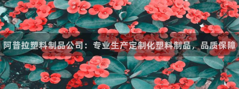 澳门太阳成城集团洗米华：阿普拉塑料制品公司：专业生产定制化塑
