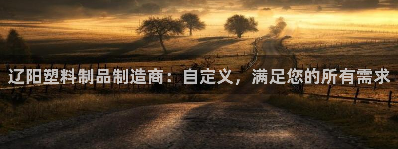 太阳gg会员登录：辽阳塑料制品制造商：自定义，满足您的所有需