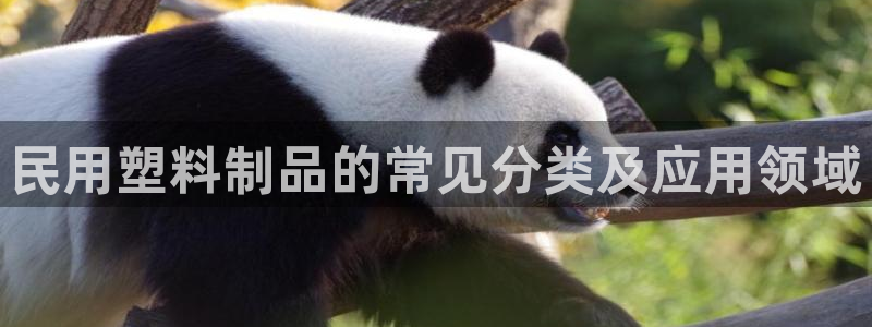 太阳集团城安卓版游戏：民用塑料制品的常见分类及应用领域