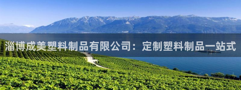 太阳app怎么下载：淄博成美塑料制品有限公司：定制塑料制品一
