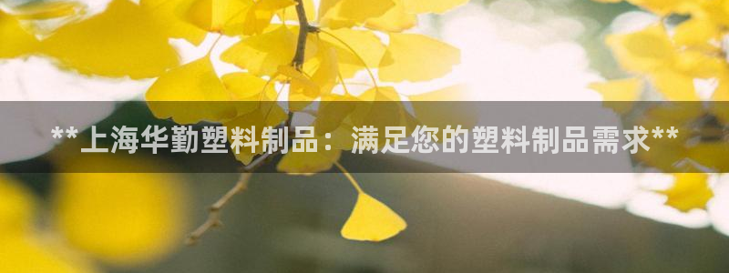 太阳集团游戏：**上海华勤塑料制品：满足您的塑料制品需求**