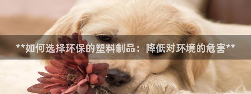太阳集团是什么平台?：**如何选择环保的塑料制品：降低对环境