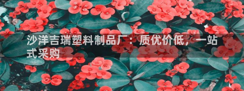 太阳集团古天乐代言：沙洋吉瑞塑料制品厂：质优价低，一站
式采