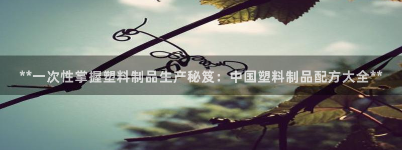 太阳游戏汉化：**一次性掌握塑料制品生产秘笈：中国塑料制品配