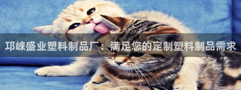太阳成集团tyc3345：邛崃盛业塑料制品厂：满足您的定制塑