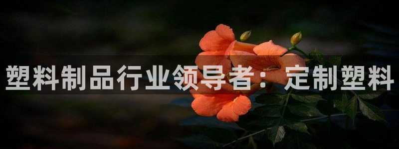 太阳游戏城：塑料制品行业领导者：定制塑料