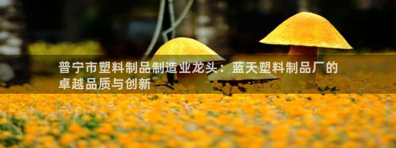 太阳诚集团：普宁市塑料制品制造业龙头：蓝天塑料制品厂的
卓越