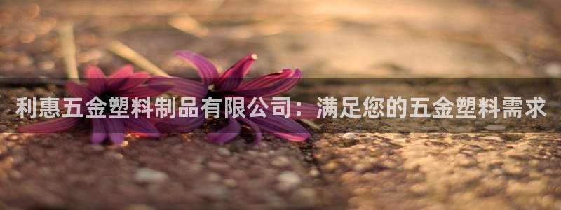 太阳集团总裁：利惠五金塑料制品有限公司：满足您的五金塑料需求