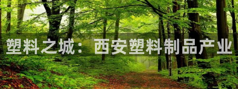 太阳集团城2018网站：塑料之城：西安塑料制品产业