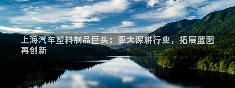太阳集团游戏官方网址8827：上海汽车塑料制品巨头：亚大深耕