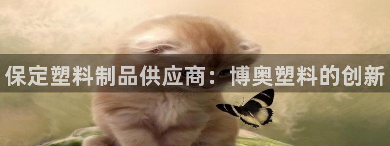 太阳成集团tyc9728：保定塑料制品供应商：博奥塑料的创新