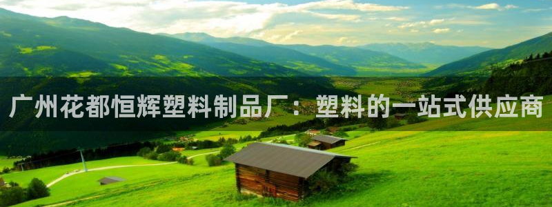 太阳集团主要是做什么的：广州花都恒辉塑料制品厂：塑料的一站式