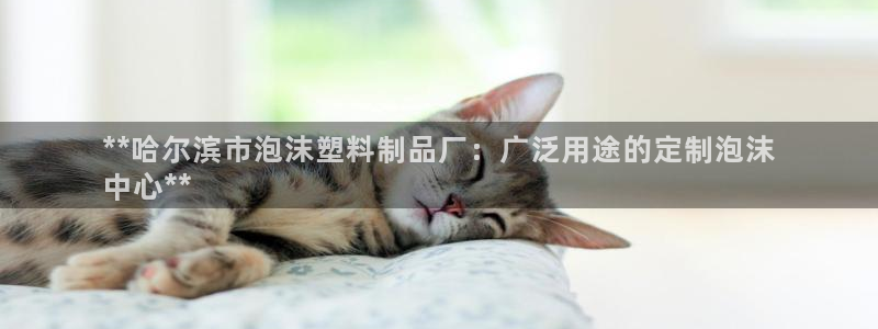 太阳成集团tyc122ccvlp：**哈尔滨市泡沫塑料制品厂