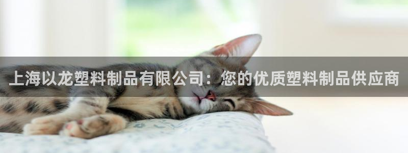 太阳集市网上商城：上海以龙塑料制品有限公司：您的优质塑料制品