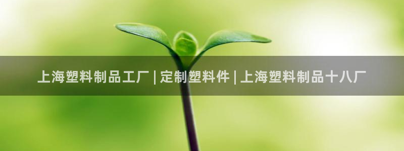 太阳集团城网站2：上海塑料制品工厂 | 定制塑料件 | 上海