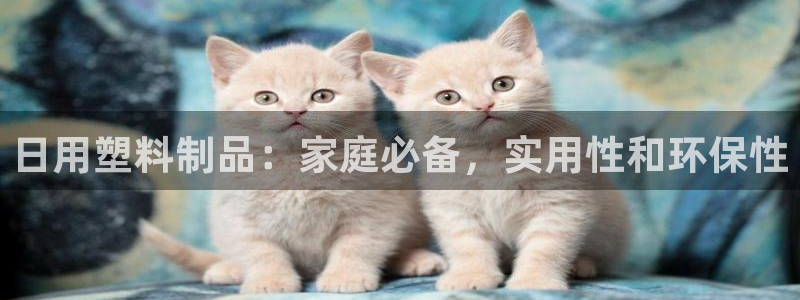 太阳成集团tyc234cc主页网站：日用塑料制品：家庭必备，