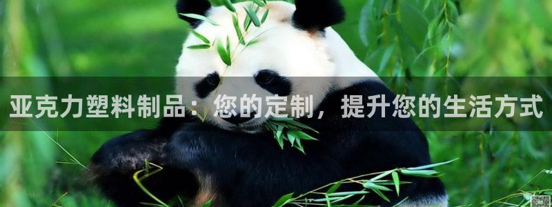 太阳成集团lougo图片：亚克力塑料制品：您的定制，提升您的