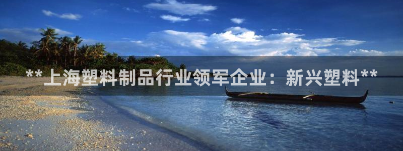 太阳集团游戏软件：**上海塑料制品行业领军企业：新兴塑料**
