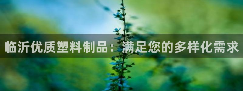 太阳成集团APP：临沂优质塑料制品：满足您的多样化需求