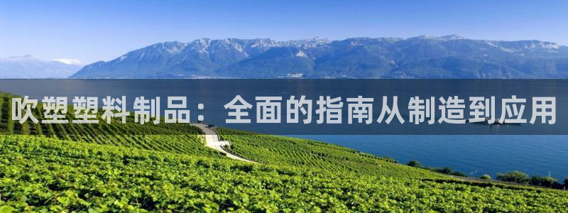 太阳成集团tyc234cc投资控股集团：吹塑塑料制品：全面的