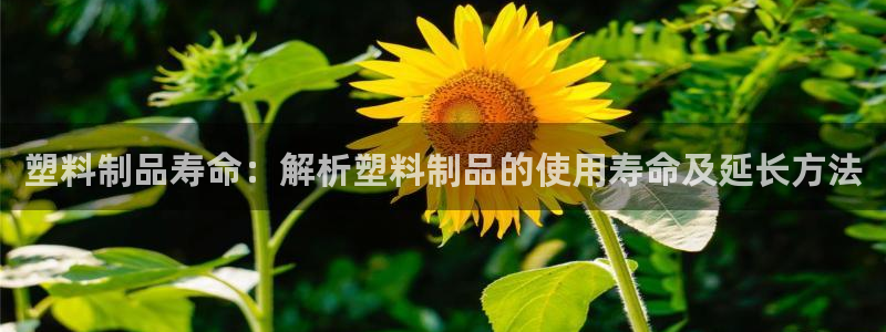 太阳集团游戏2138网站：塑料制品寿命：解析塑料制品的使用寿
