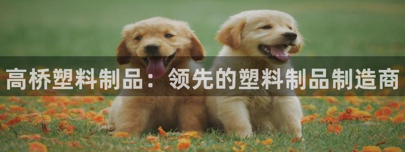 太阳集团官网导航首页：高桥塑料制品：领先的塑料制品制造商