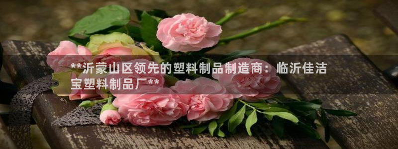 太阳集团城入口：**沂蒙山区领先的塑料制品制造商：临沂佳洁
