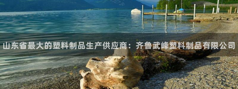 太阳诚集团是干什么的：山东省最大的塑料制品生产供应商：齐鲁武